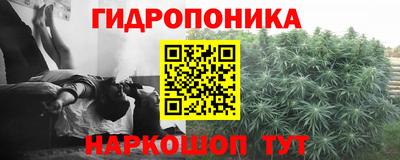 амф Будённовск