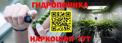 амф Будённовск