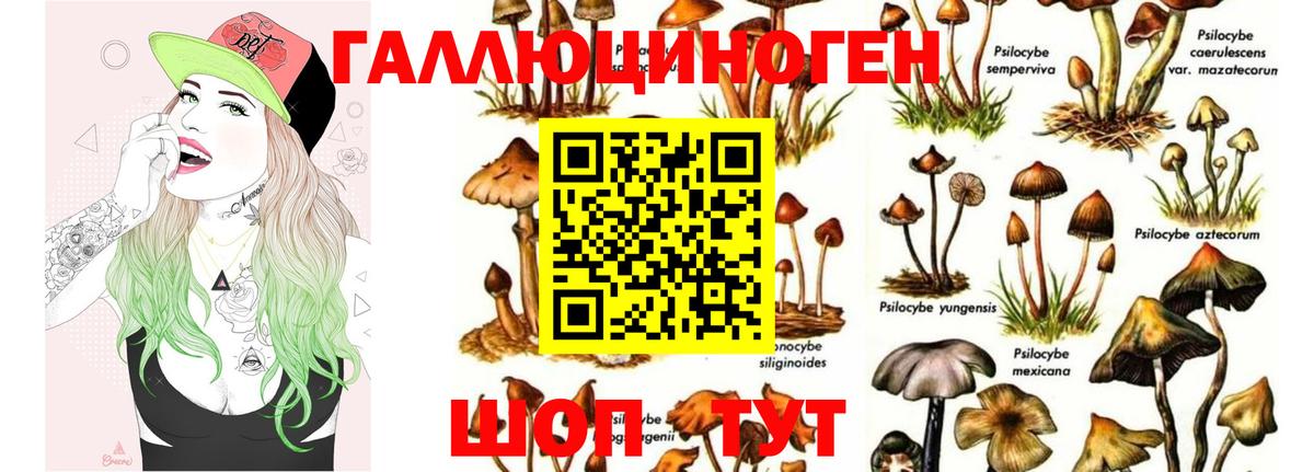 Сибай  Галлюциногенные грибы MAGIC MUSHROOMS  Вход с VPN 